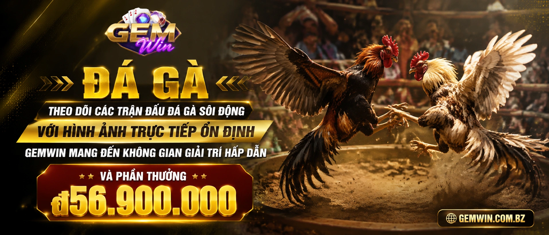 Không gian xem Đá Gà Trực Tiếp